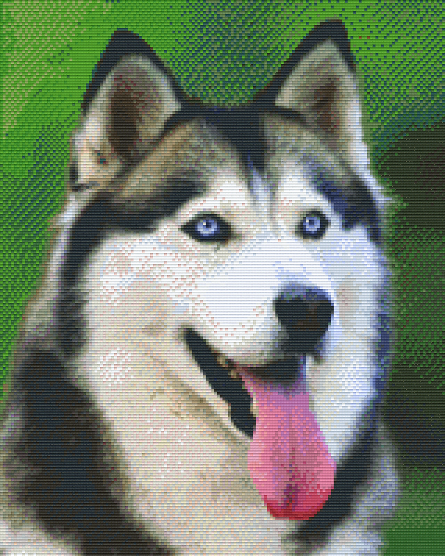 Pixelhobby Klassik Vorlage - Husky