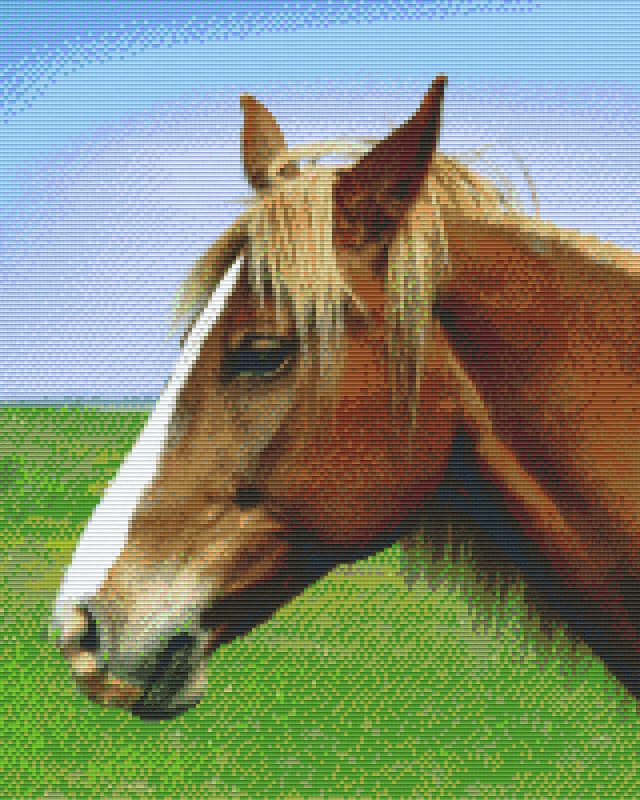 Pixelhobby Klassik Vorlage - Pferd
