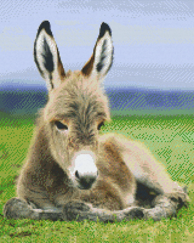 Pixel hobby classic set - donkey