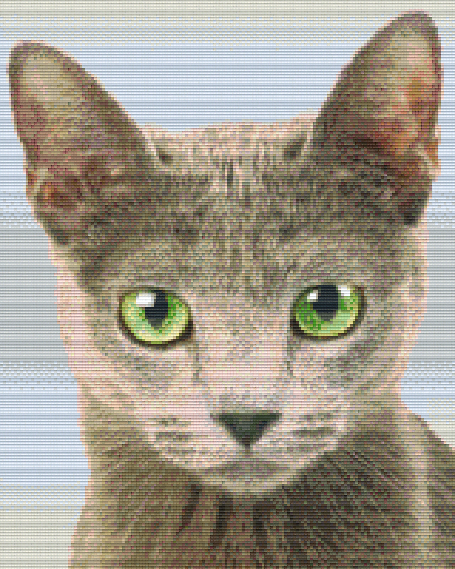 Pixelhobby Klassik Vorlage - Katze