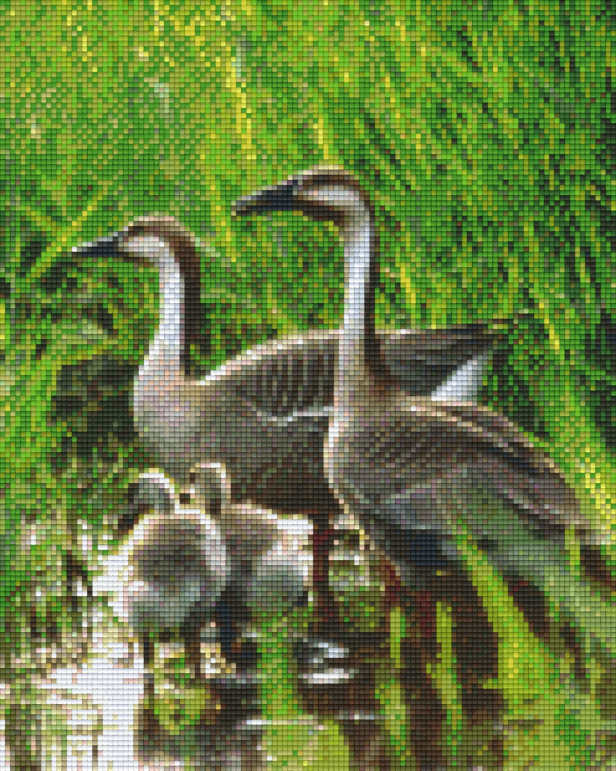 Pixelhobby Klassik Vorlage - Gänsefamilie