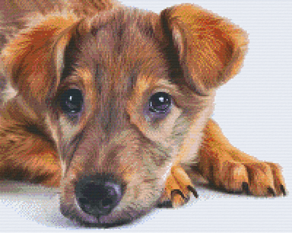 Pixelhobby Klassik Vorlage - Hund