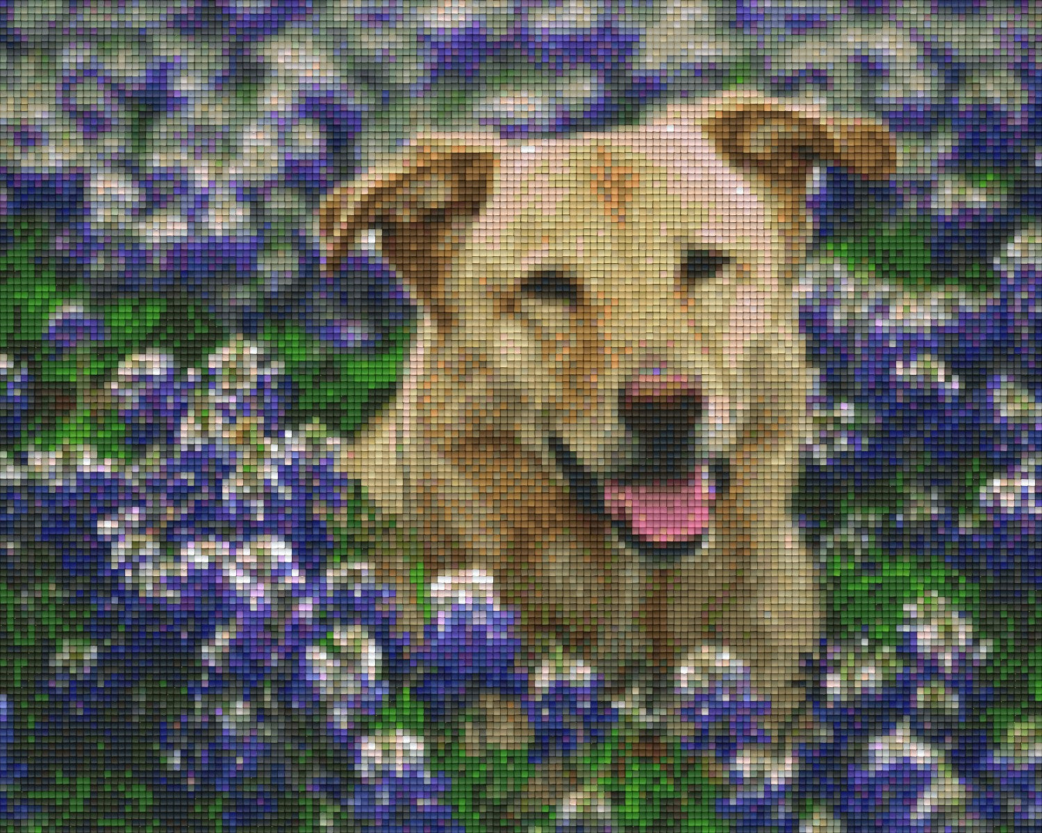 Pixelhobby Klassik Vorlage - Hund in der Wiese