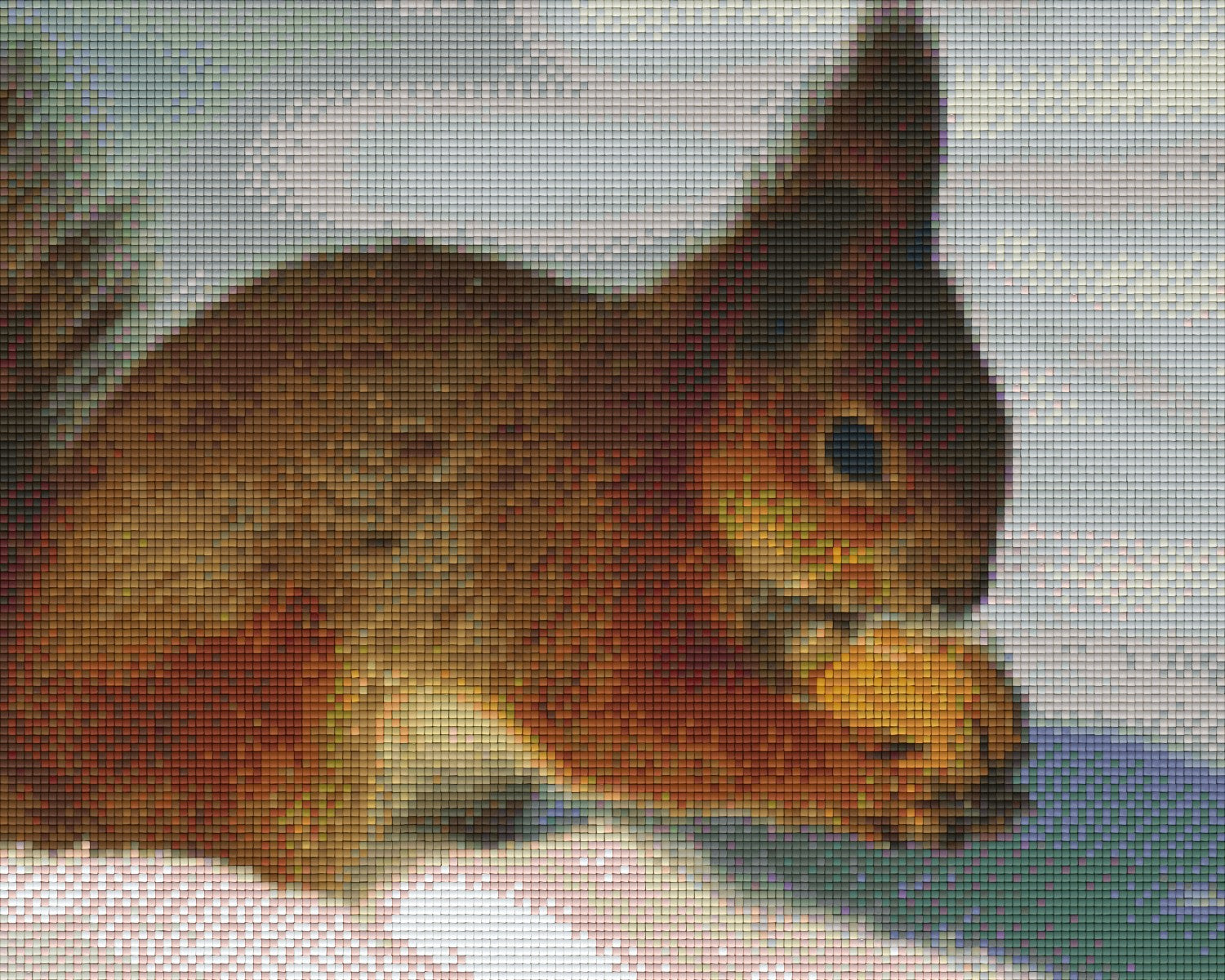 Pixelhobby classic set - squirrel with nut