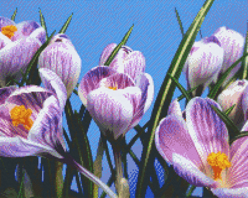 Pixelhobby Klassik Vorlage - Krokusse