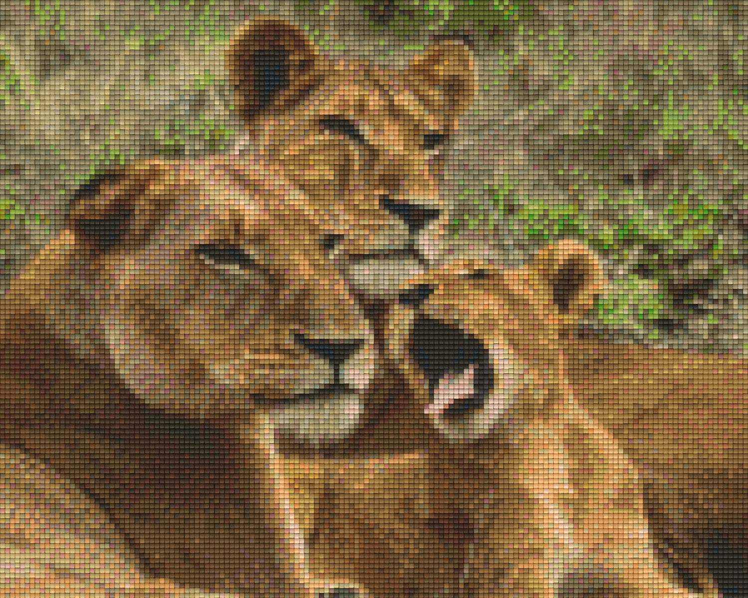 Pixelhobby Klassik Vorlage - Löwenfamilie