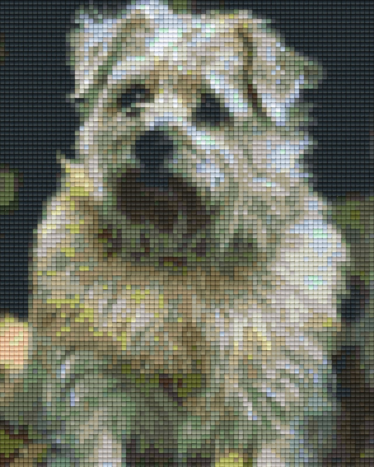 Pixelhobby Klassik Vorlage - Norfolk Terrier