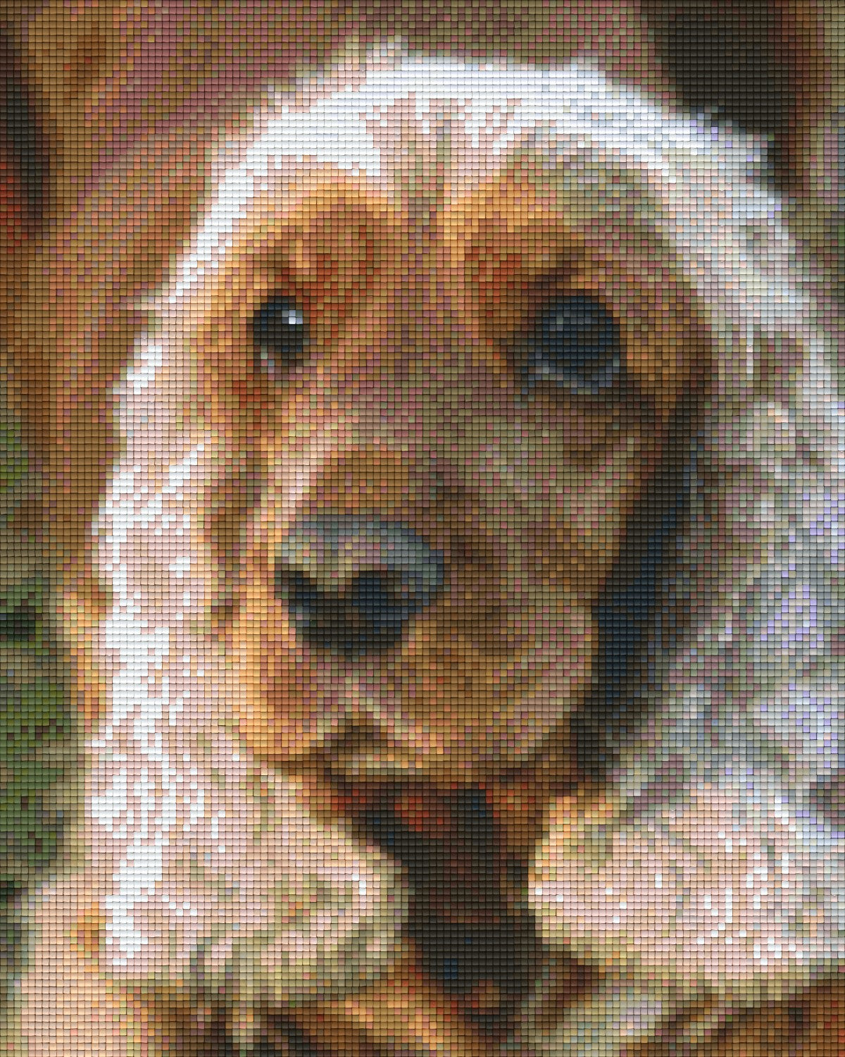 Pixelhobby Klassik Vorlage - Hund