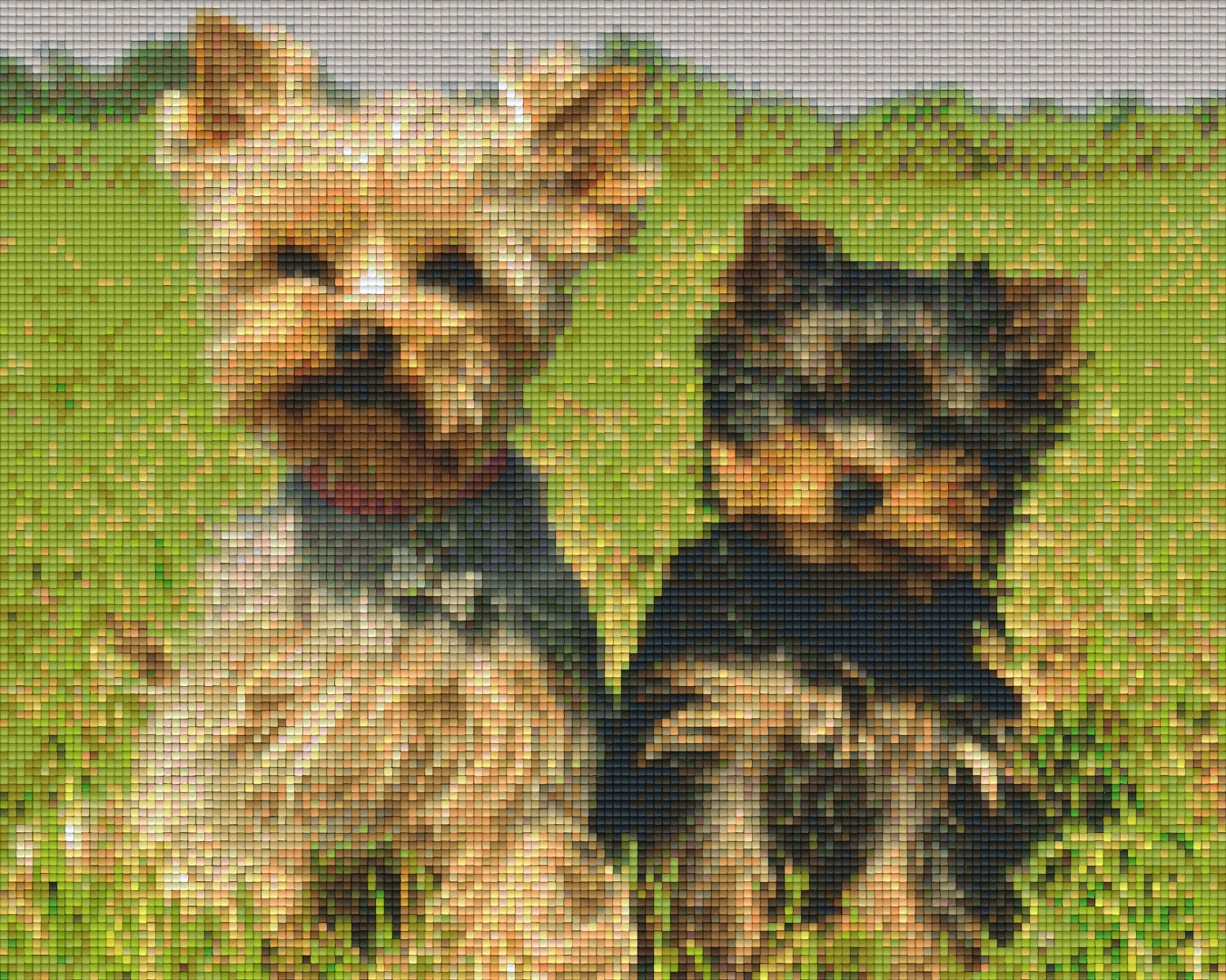 Pixelhobby Klassik Vorlage - Terrier