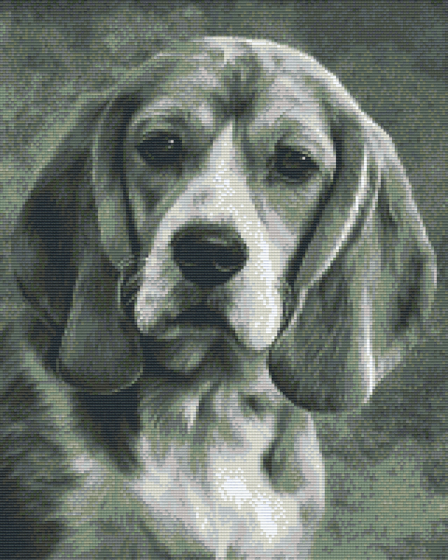 Pixelhobby Klassik Vorlage - Beagle s/w