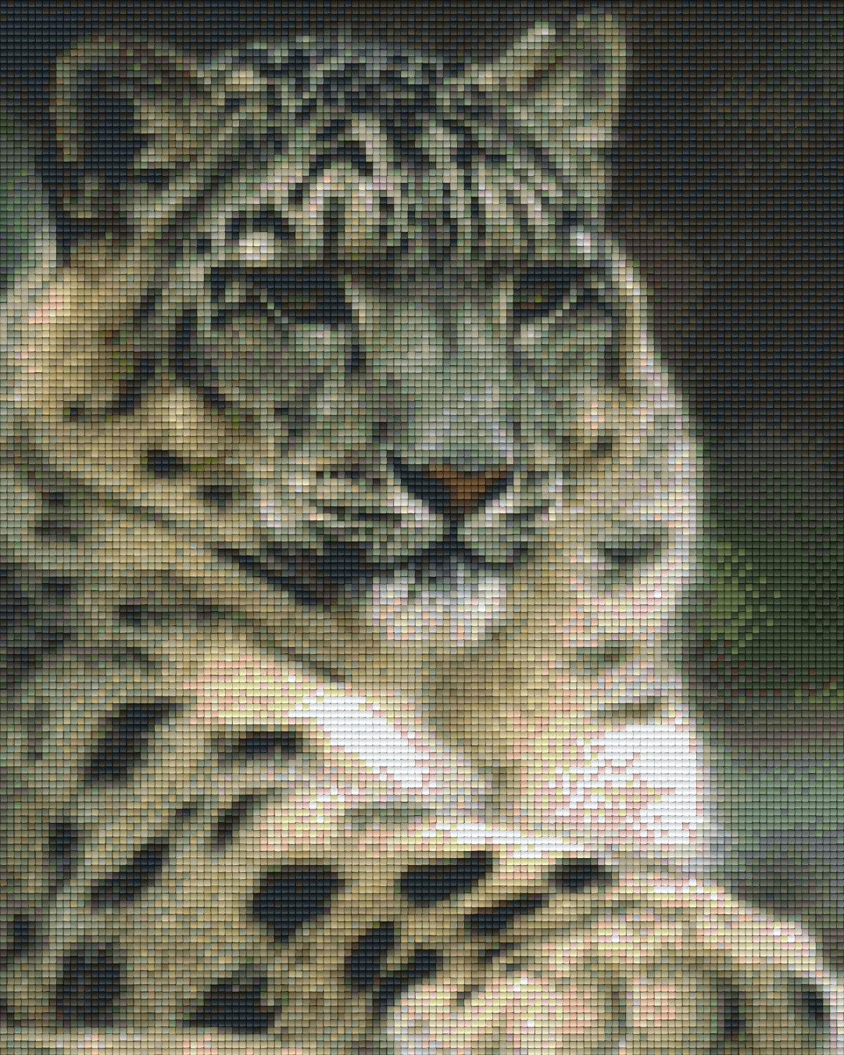 Pixelhobby Klassik Vorlage - Weißer Tiger 2