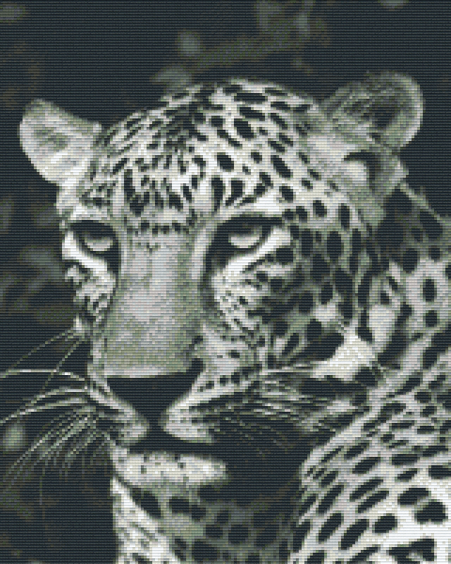 Pixelhobby Klassik Vorlage - Leopard s/w