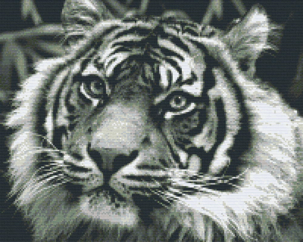 Pixelhobby Klassik Vorlage - Tiger