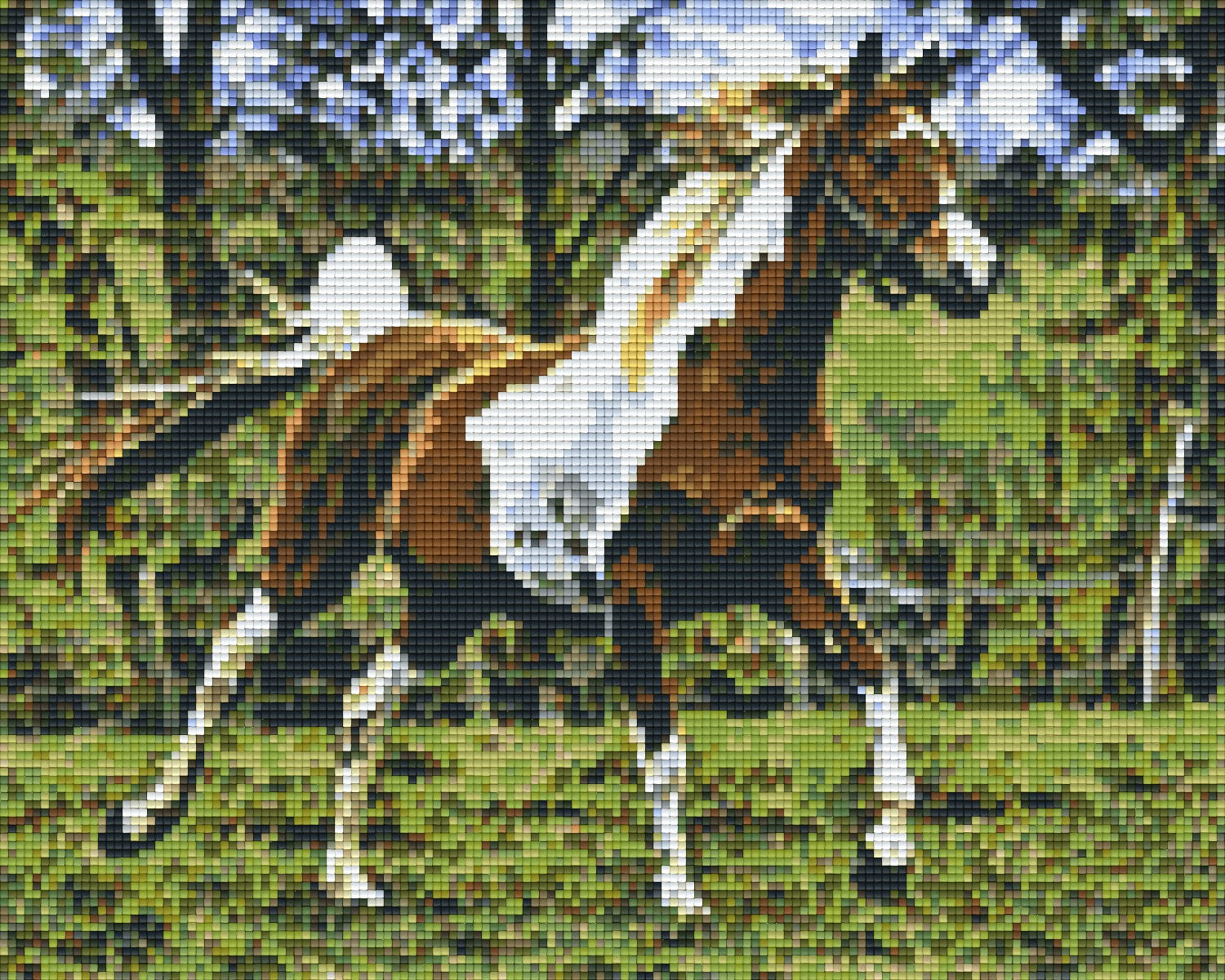 Pixelhobby Klassik Vorlage - Pferd