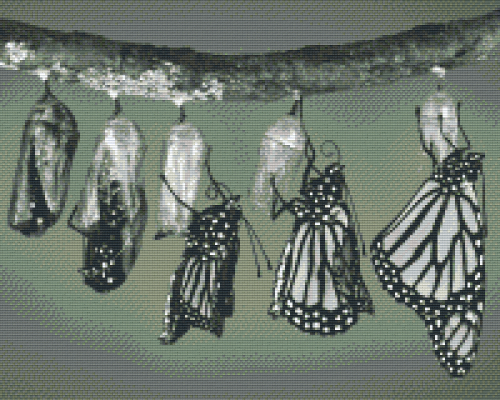 Pixelhobby Klassik Vorlage - Schmetterling schlüpft s/w