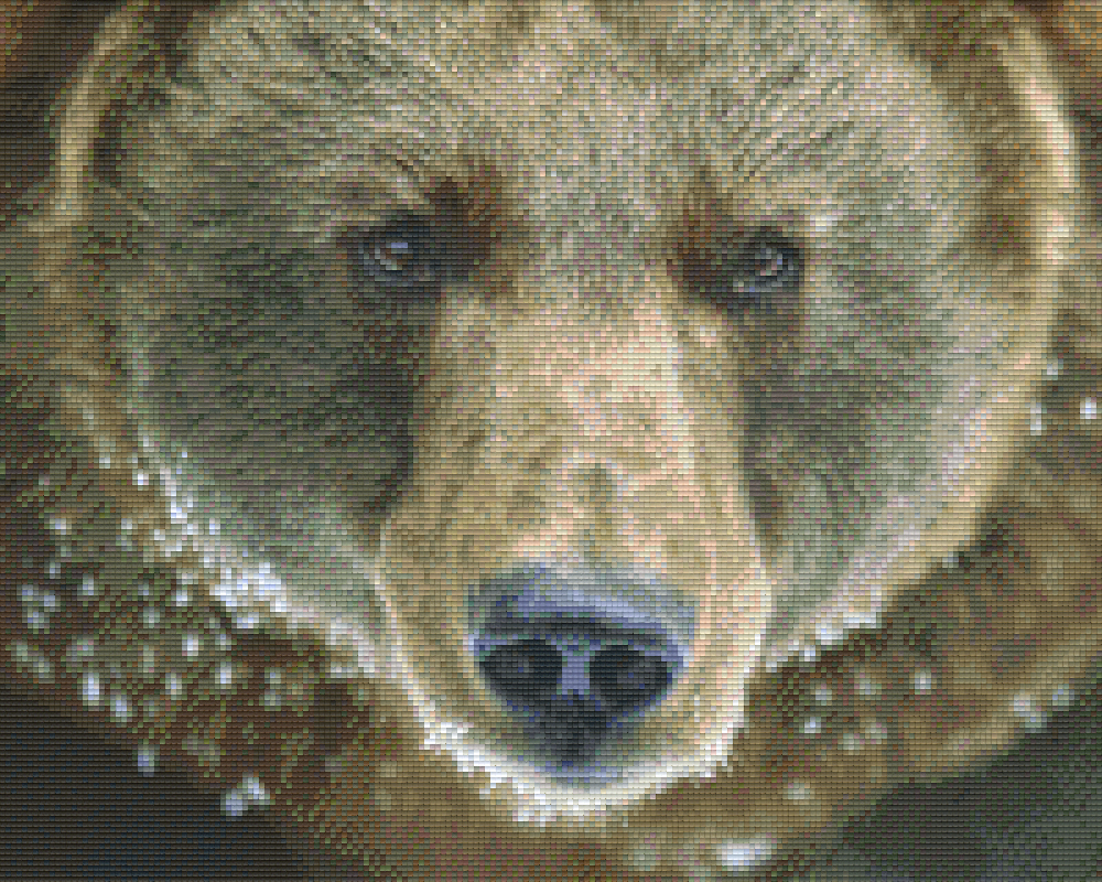 Pixelhobby Klassik Vorlage - Braunbär