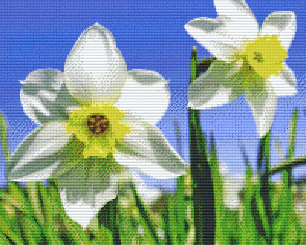 Pixelhobby Klassik Vorlage - Osterglocken