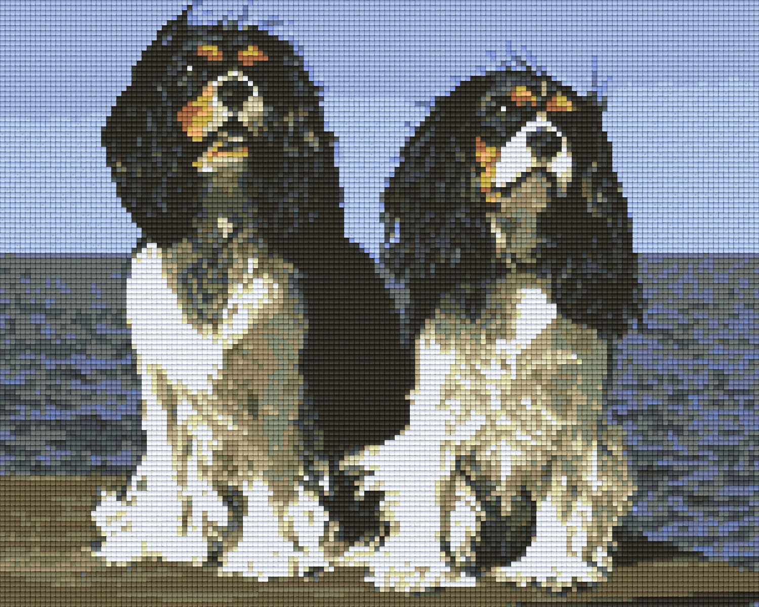 Pixelhobby Klassik Vorlage - Cavalier King Charles