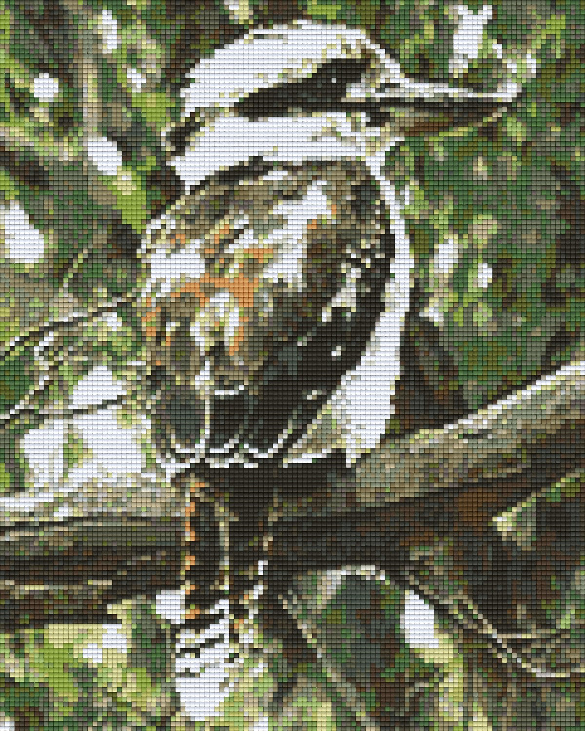 Pixelhobby Klassik Vorlage - Kokoburra