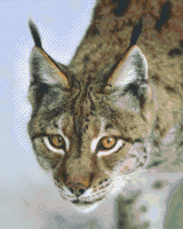 Pixelhobby Klassik Vorlage - Luchs