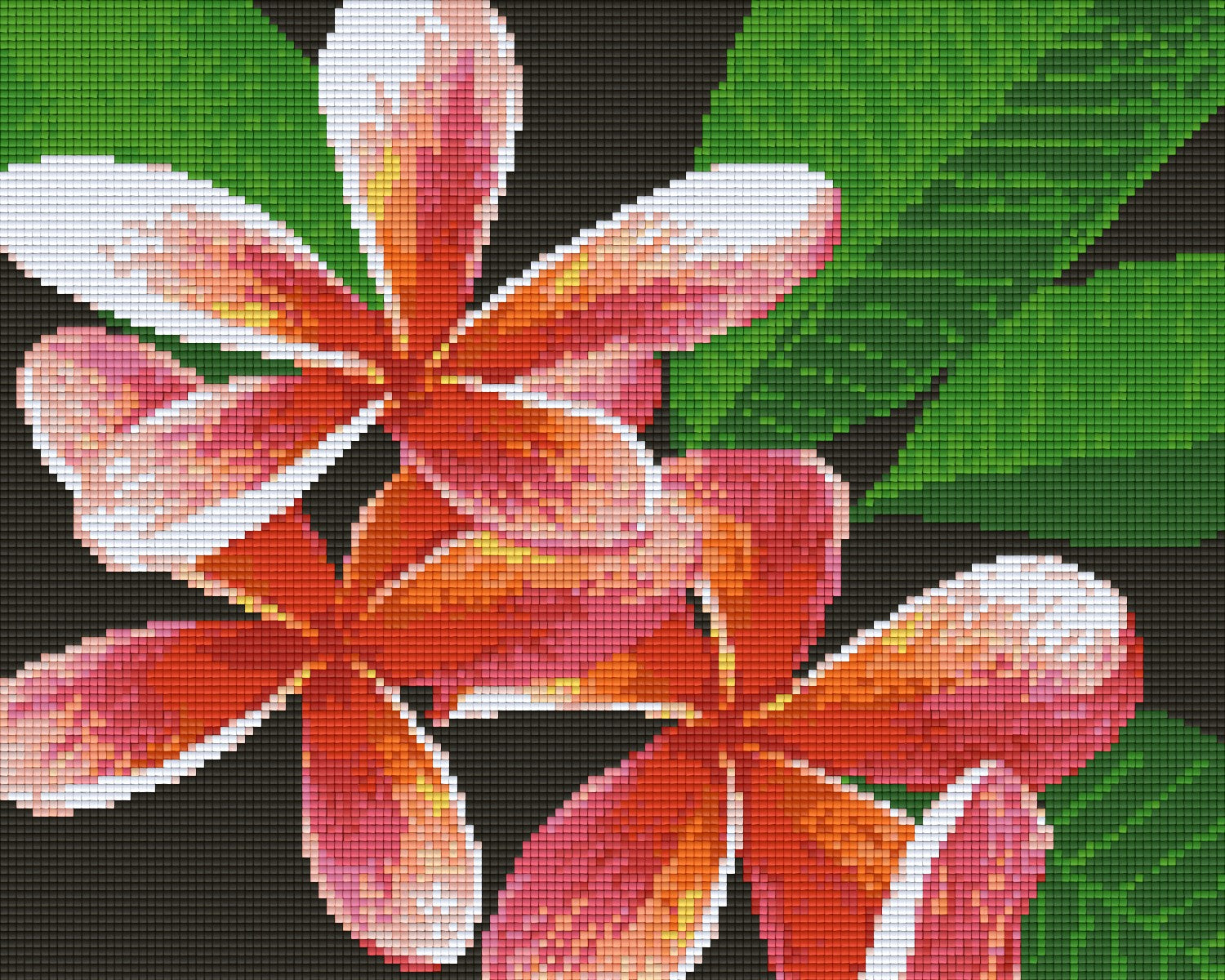 Pixelhobby Klassik Vorlage - Frangipani