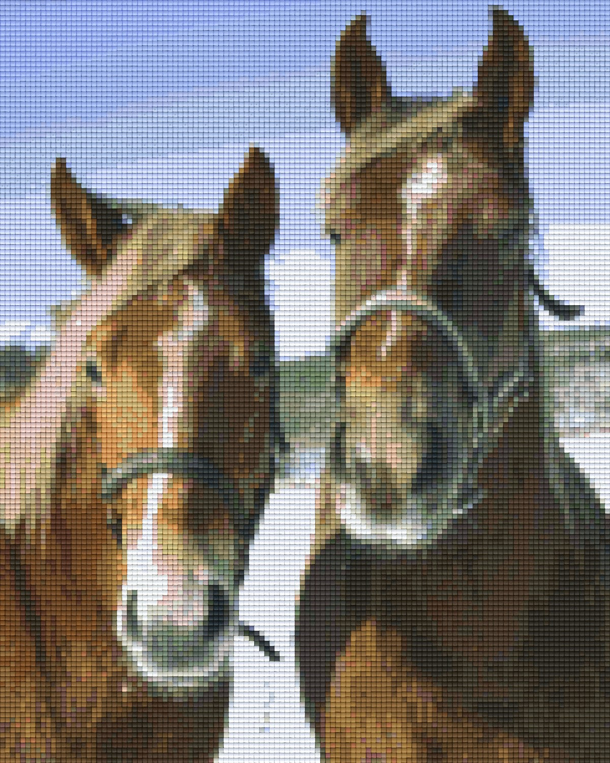 Pixelhobby Klassik Vorlage - Braune Vollblutpferde
