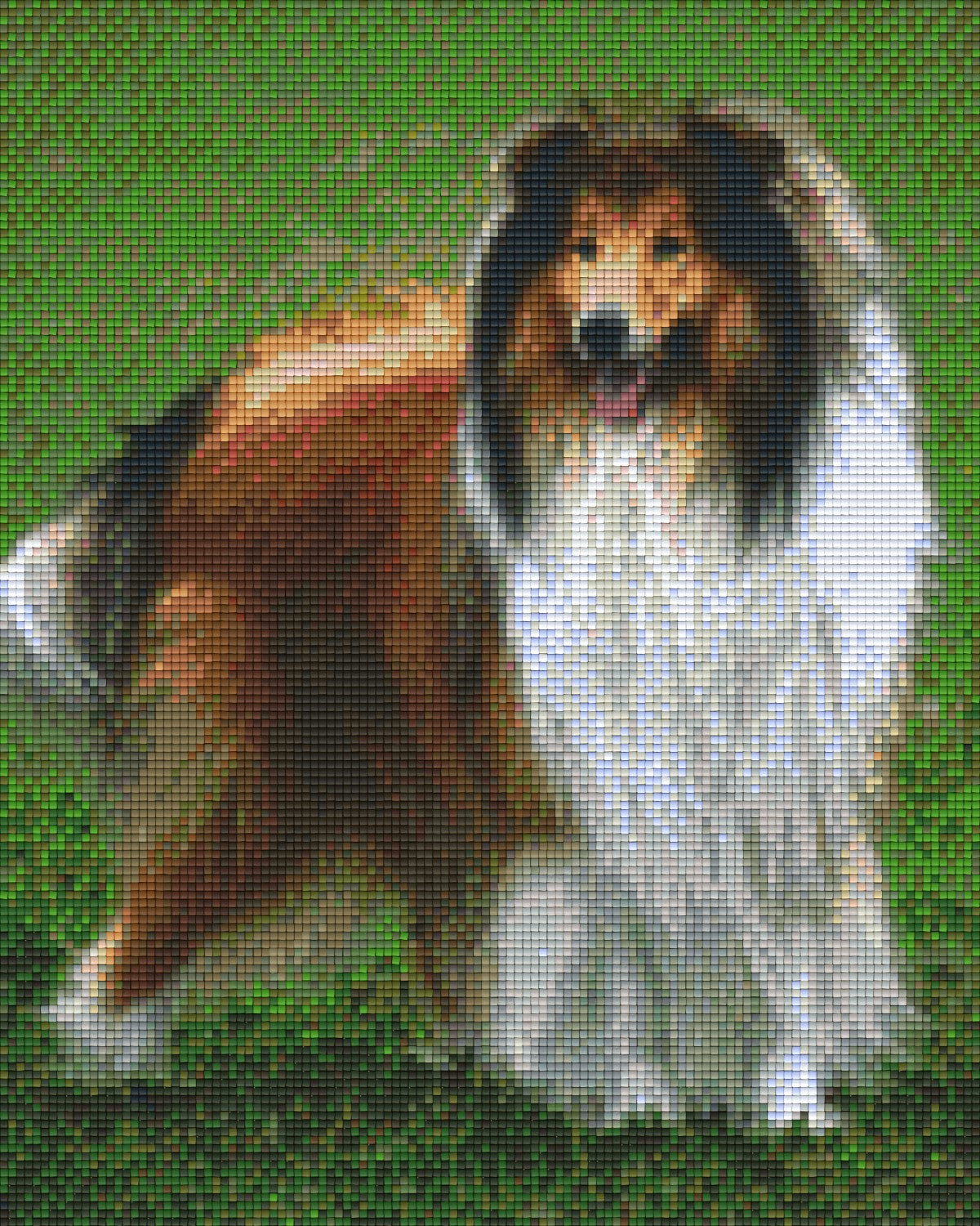 Pixelhobby Klassik Vorlage - Shetland Collie