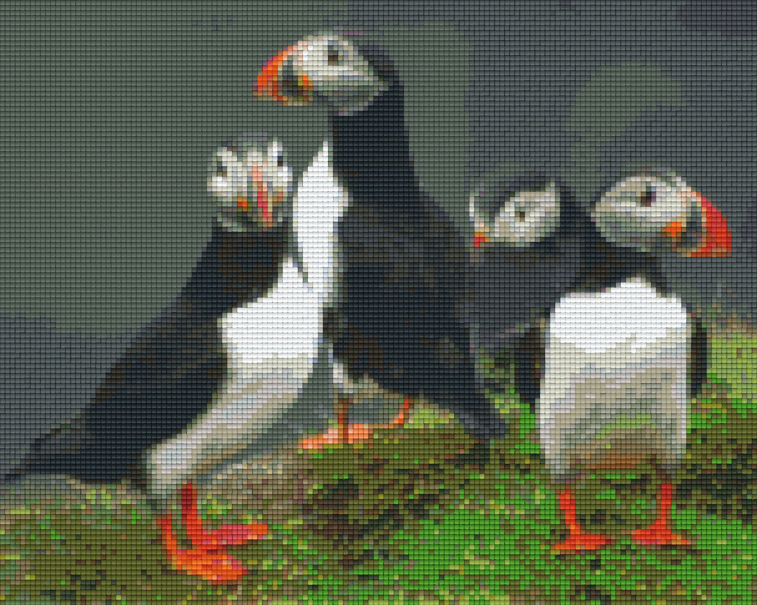 Pixelhobby Klassik Vorlage - Island Puffins