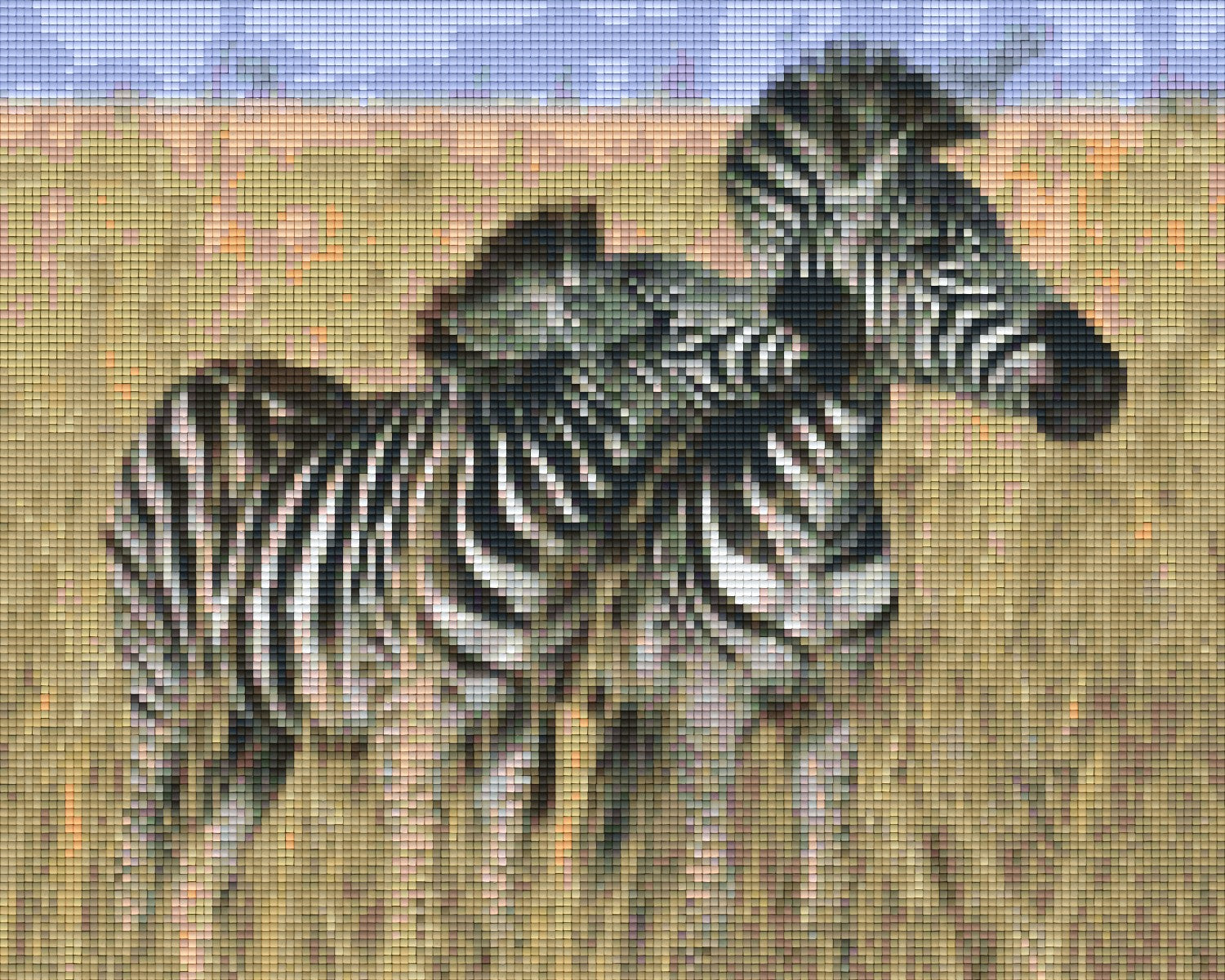 Pixelhobby Klassik Vorlage - Zebras