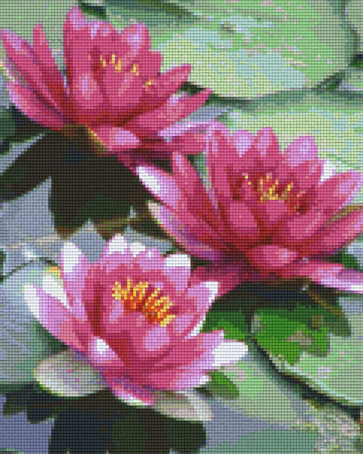 Pixelhobby Klassik Vorlage - Seerosen