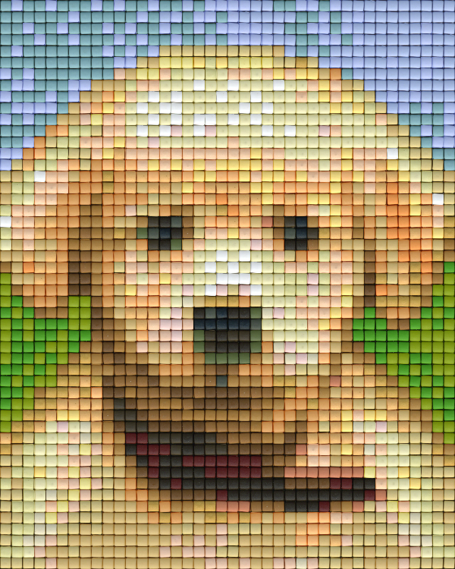 Pixel hobby classic template - puppy
