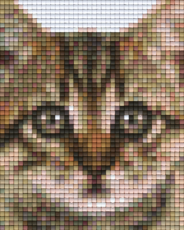 Pixel hobby classic template - cat