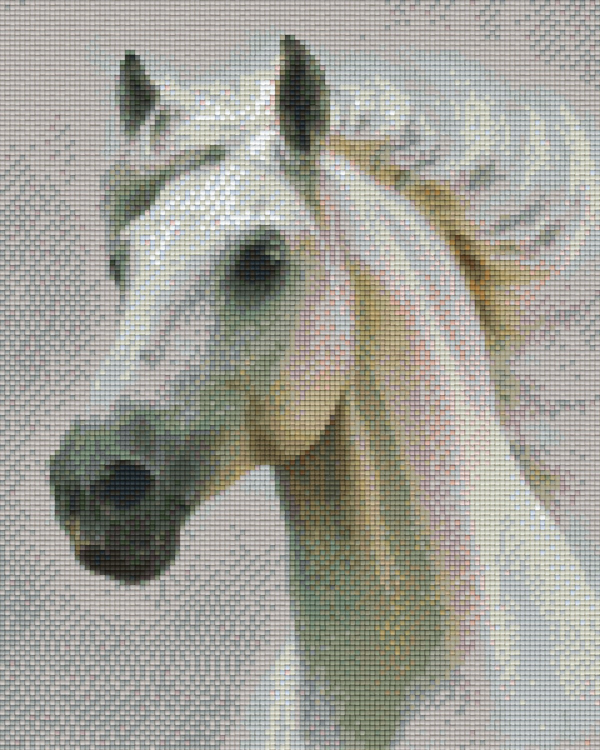 Pixelhobby Klassik Vorlage - Schimmel