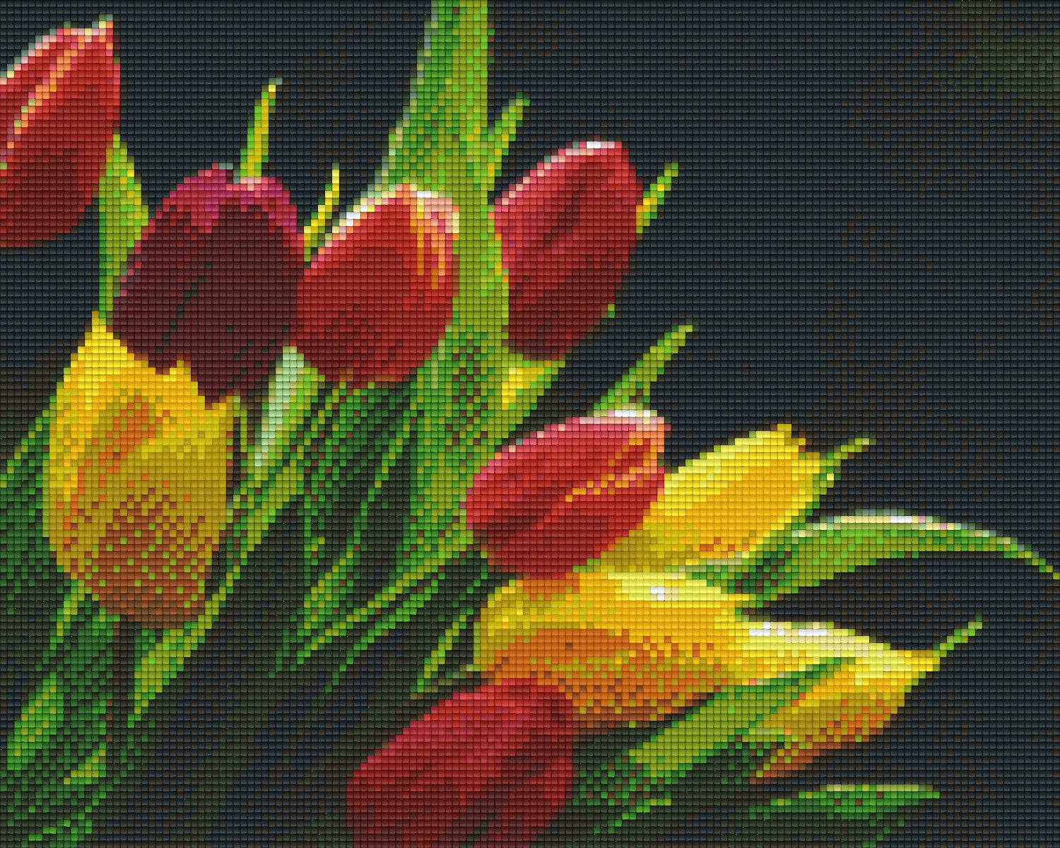 Pixelhobby Klassik Vorlage - Tulpen