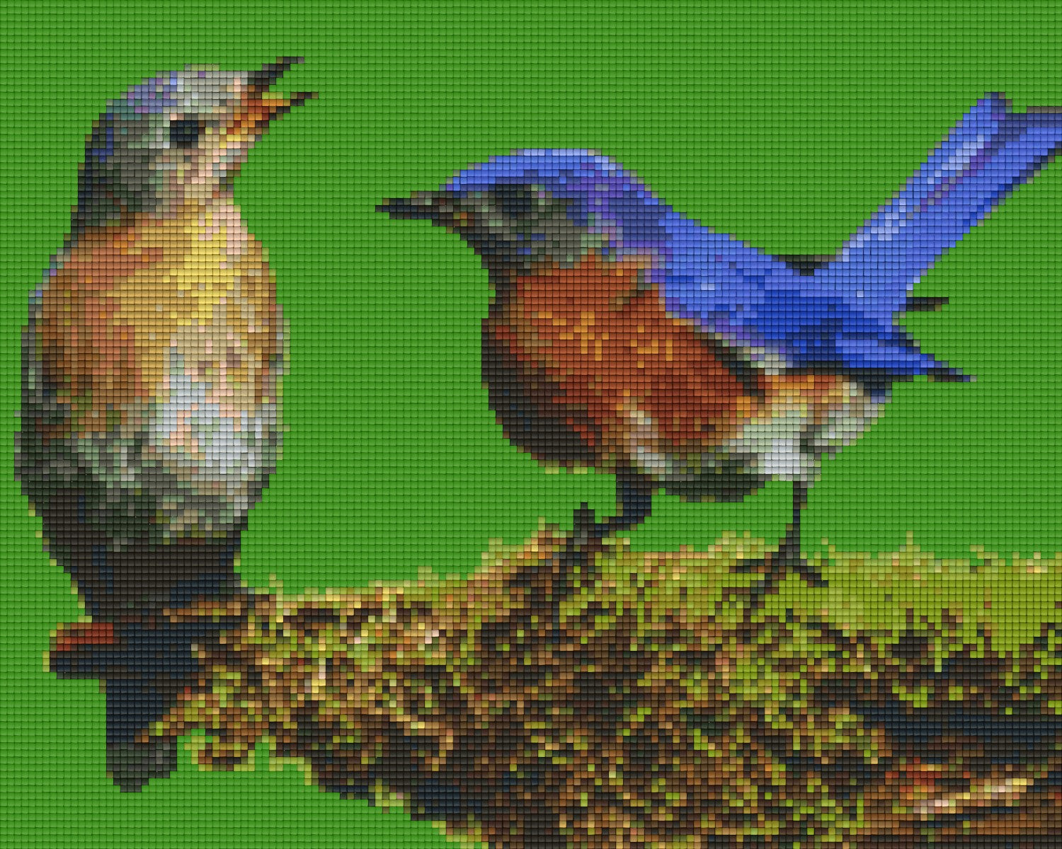 Pixelhobby Klassik Vorlage - Zwei Vögel