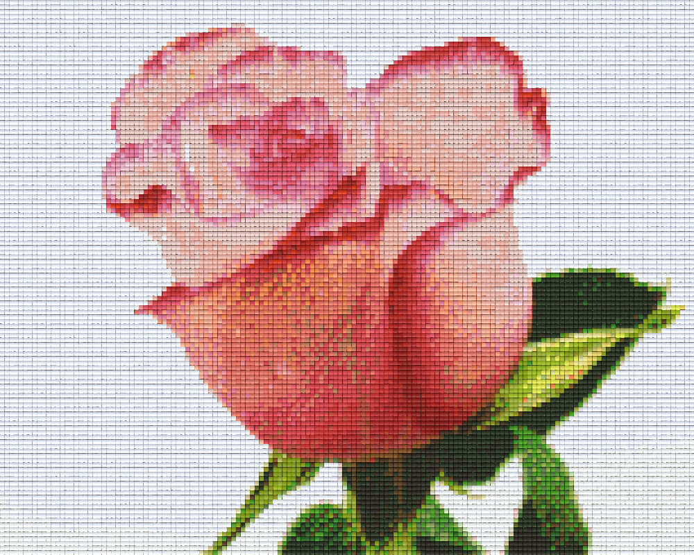 Pixelhobby Klassik Set - Rose