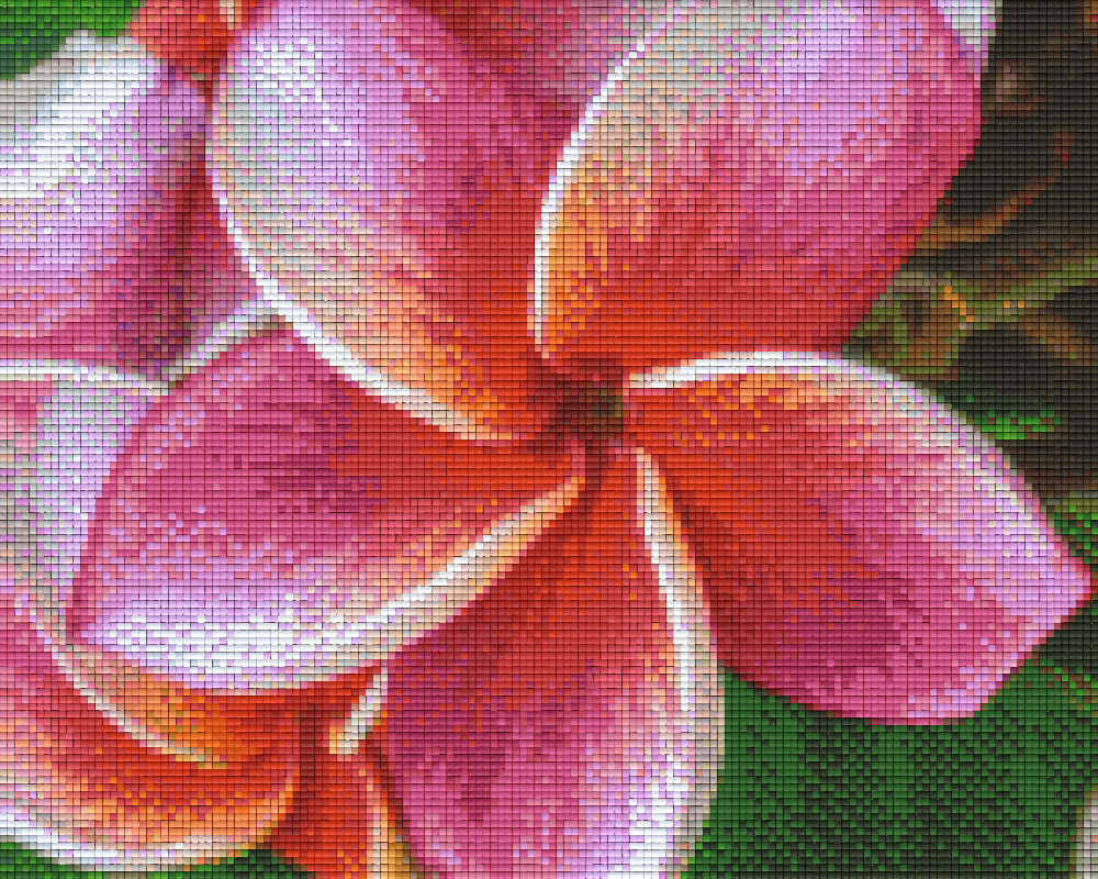 Pixelhobby Klassik Vorlage - Frangipani