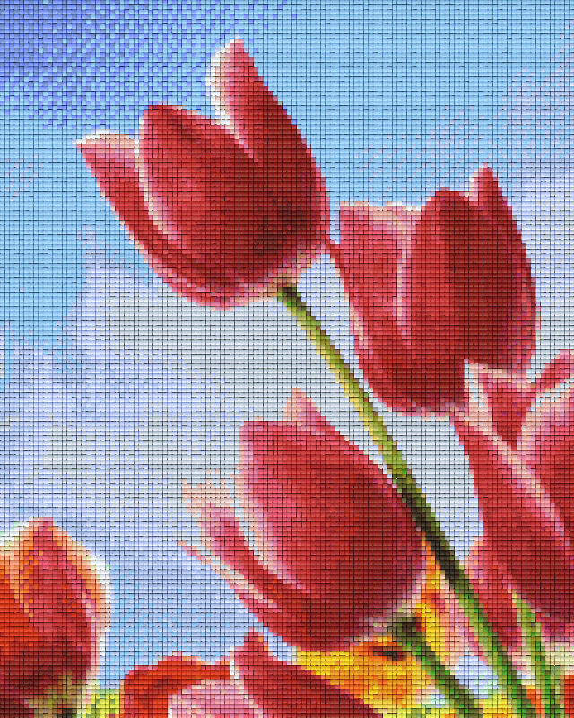 Pixelhobby Klassik Vorlage - Tulpen