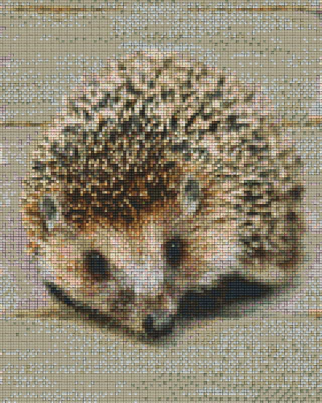 Pixelhobby Klassik Vorlage - Igel