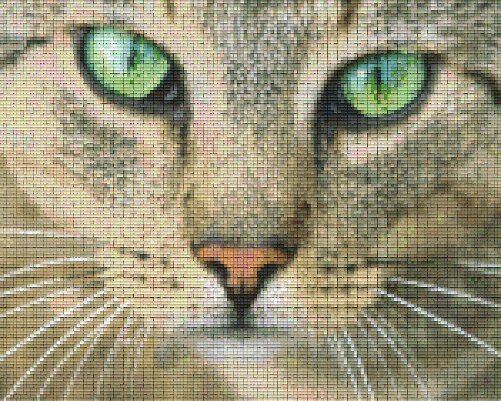 Pixelhobby Klassik Vorlage - Katze