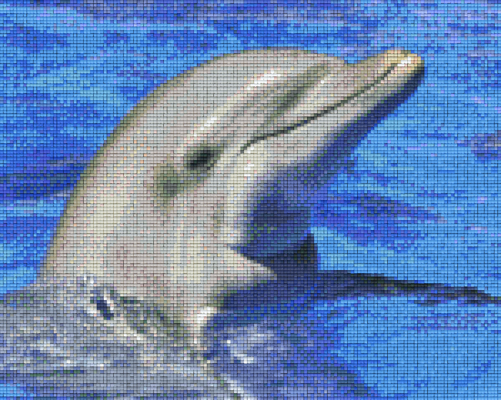 Pixelhobby Klassik Vorlage - Delphin