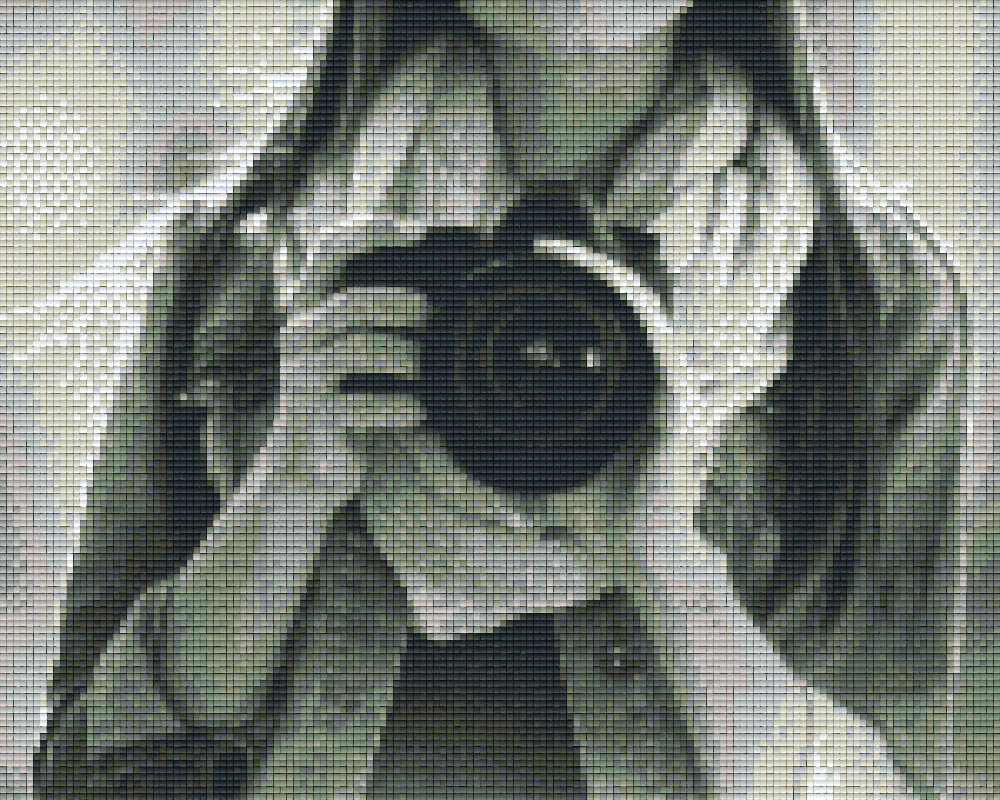 Pixel hobby classic set - photographer b/w
