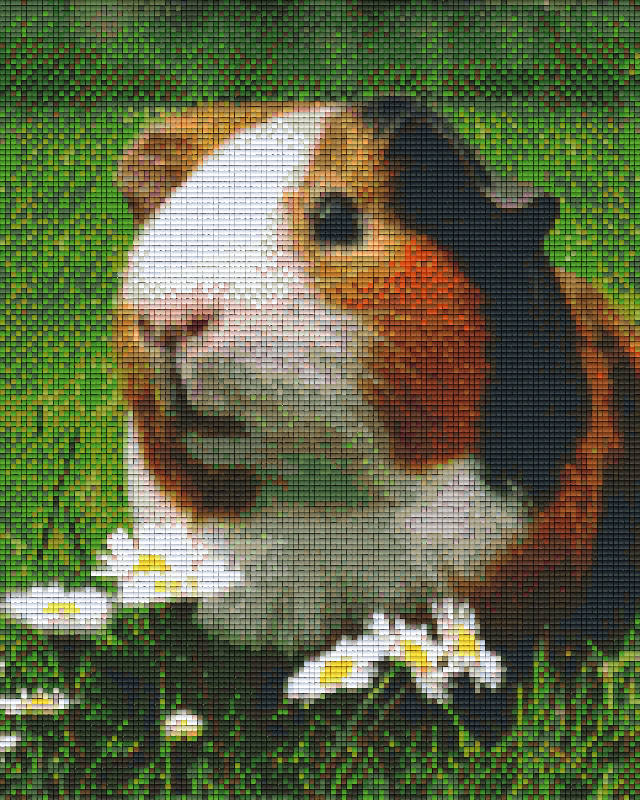 Pixelhobby Klassik Vorlage - Meerschweinchen