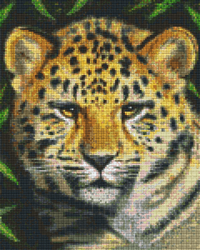 Pixelhobby Klassik Set - Leopard