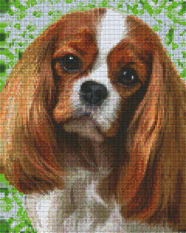 Pixelhobby Klassik Vorlage - Cavalier King Charles