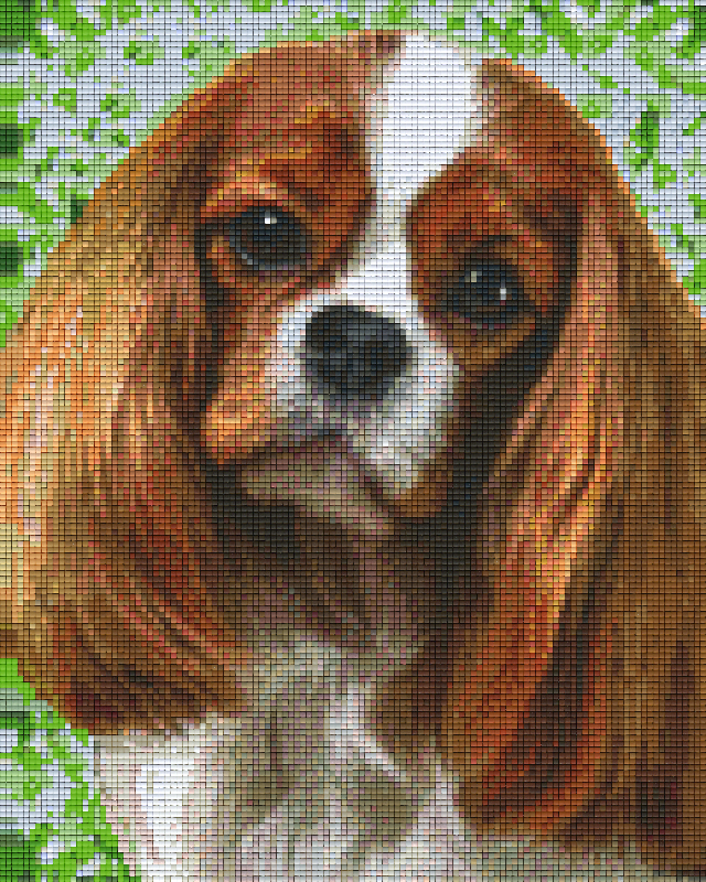 Pixelhobby Klassik Set - Cavalier King Charles