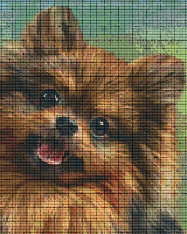 Pixelhobby Klassik Vorlage - Pomerainian