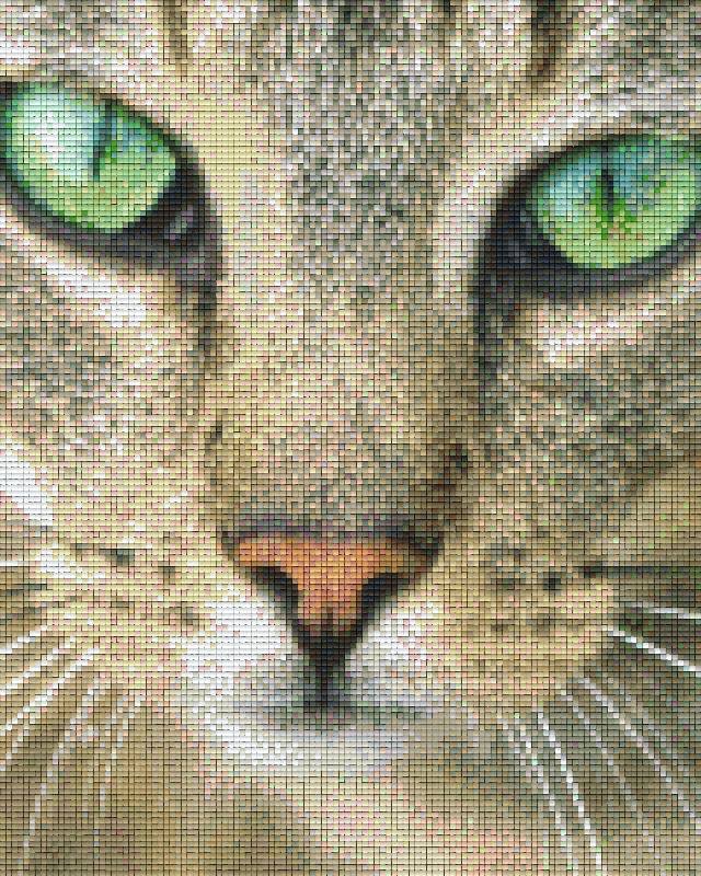 Pixelhobby Klassik Vorlage - Katze