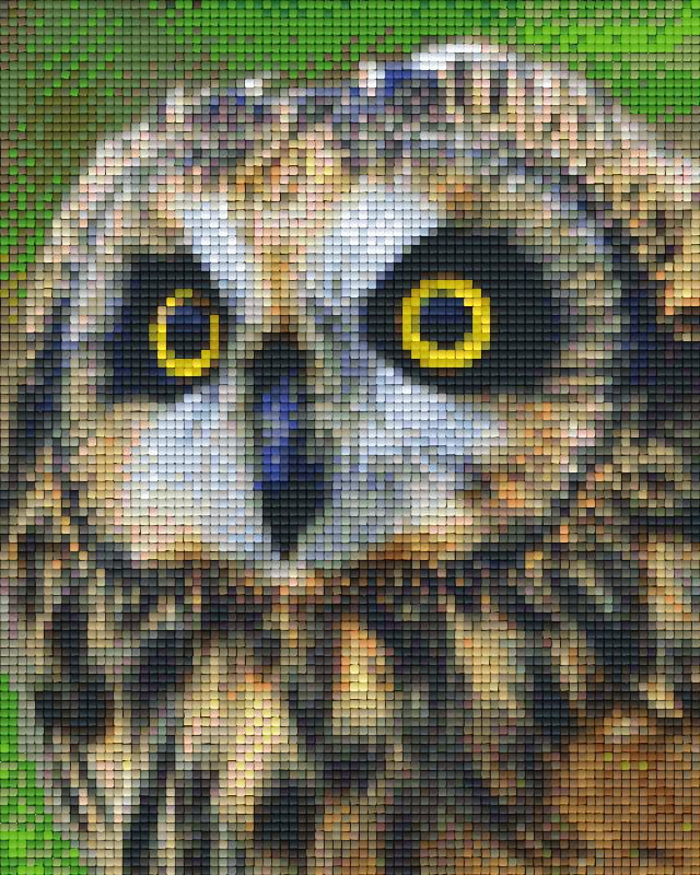 Pixelhobby Klassik Vorlage - Eule