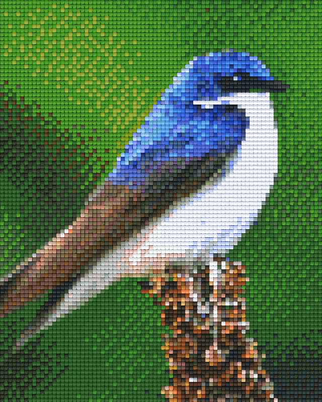 Pixelhobby Klassik Vorlage - blau brauner Vogel